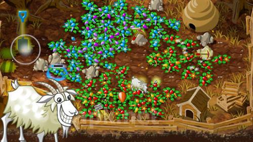 Garden wars