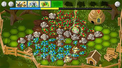 Garden wars
