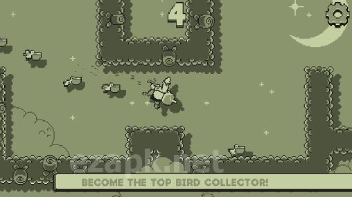 Endless doves