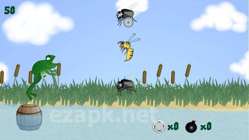 Frog and fly