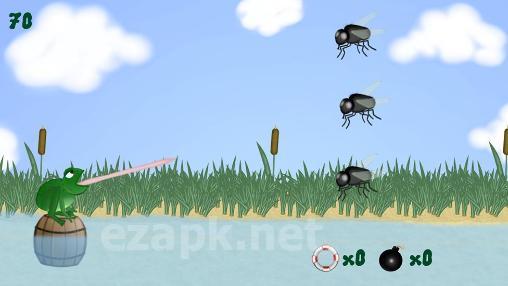 Frog and fly