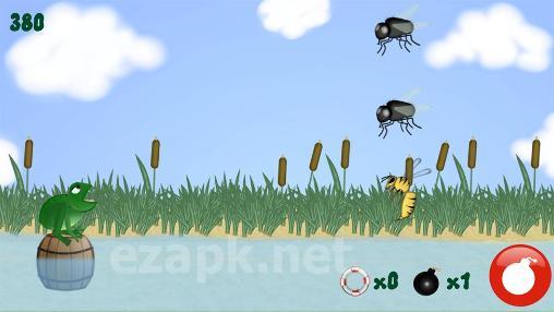 Frog and fly