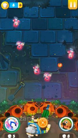 Dadi vs jellies