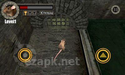 Sewer Rat Run
