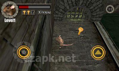 Sewer Rat Run