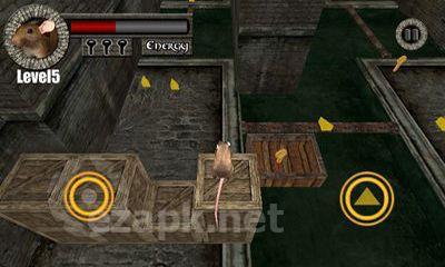 Sewer Rat Run