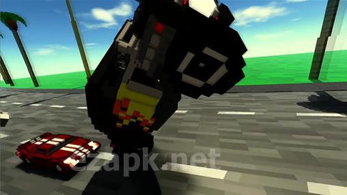Maximum car