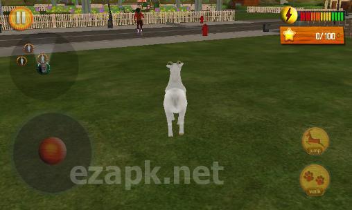 Crazy goat in town 3D
