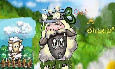 Cut a Sheep!