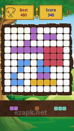 Puzzle blocks extra