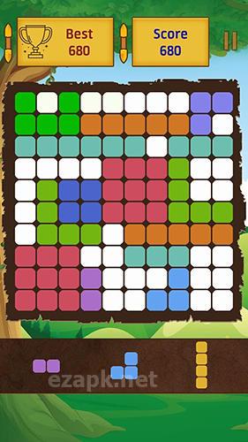 Puzzle blocks extra