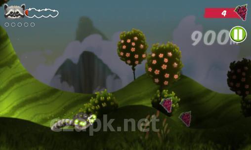 Four seasons journey