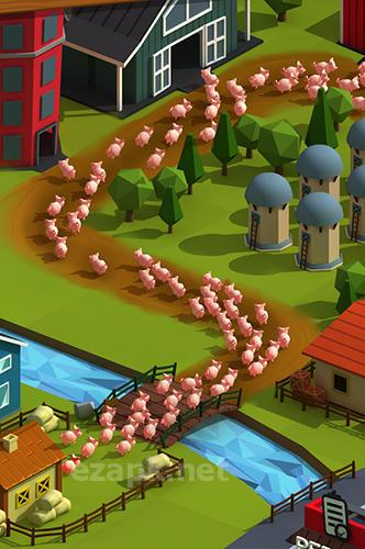 Tiny pig
