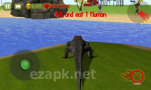 Crocodile attack 2016