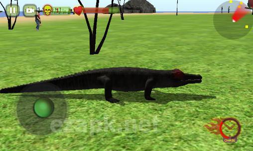 Crocodile attack 2016