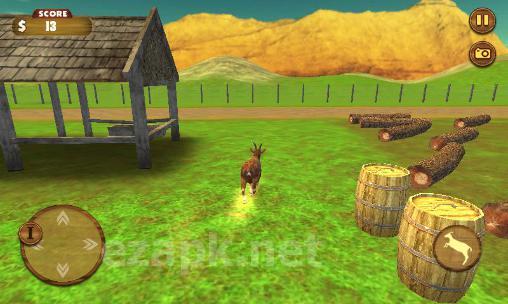 Crazy goat 3D