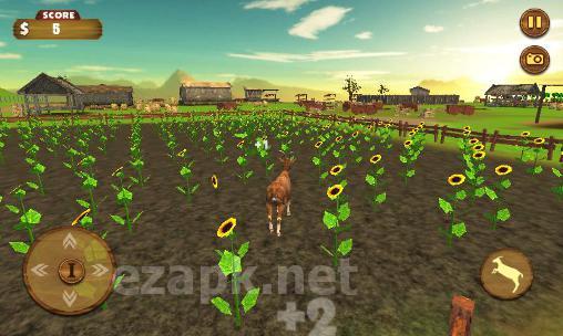 Crazy goat 3D