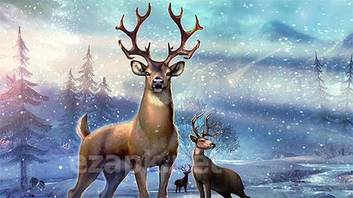 Deer hunter 2017
