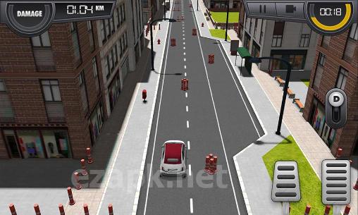 Racing madness pro 2015