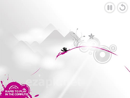 Milo the cat: Surf challenge