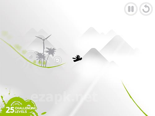 Milo the cat: Surf challenge