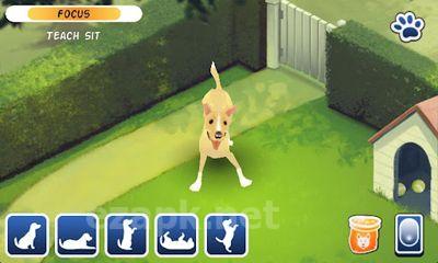 Clickety Dog