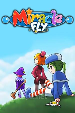 Miracle fly