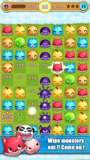 Pet boom!