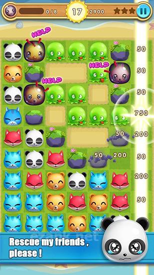 Pet boom!