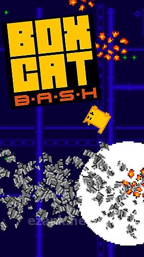 Box cat bash
