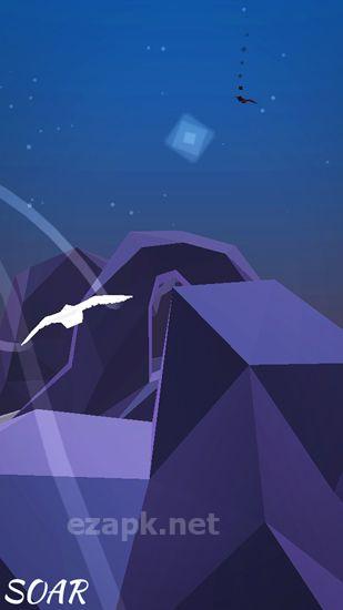 Soar