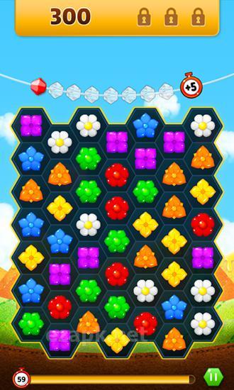 Honey day blitz