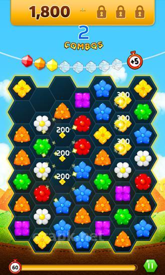 Honey day blitz
