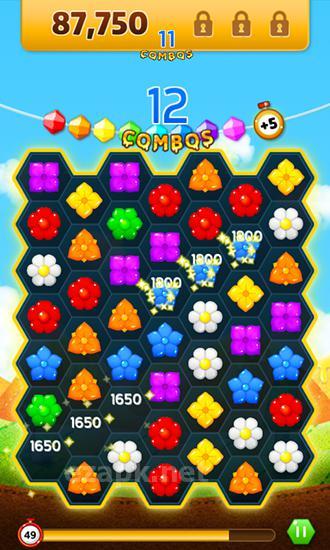 Honey day blitz