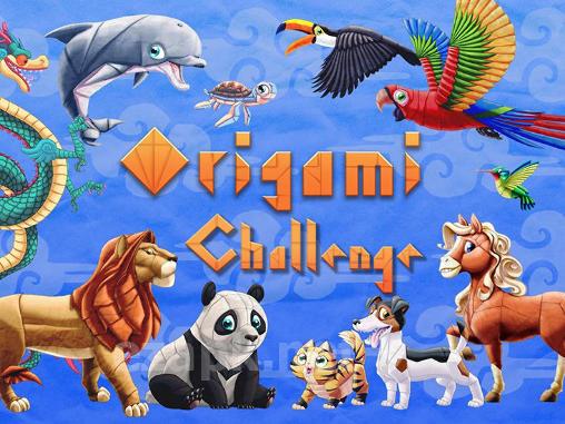 Origami challenge