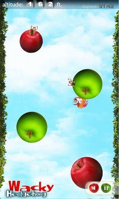 Wacky Hedgehog jump