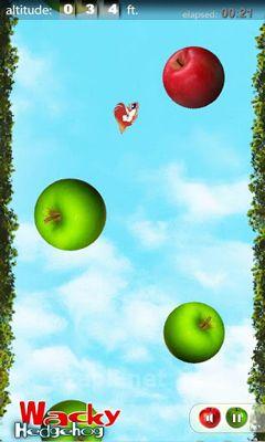 Wacky Hedgehog jump