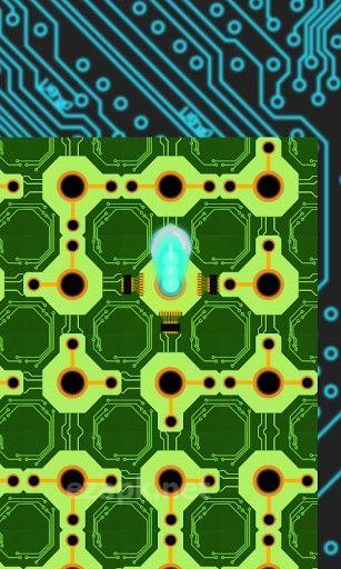 Circuit jungle