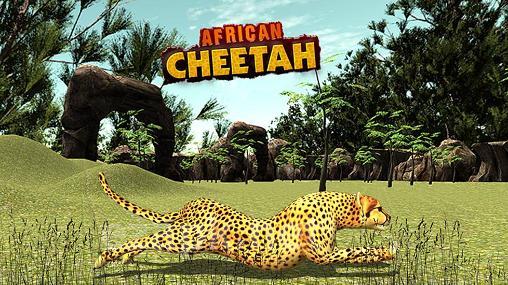 African cheetah: Survival sim
