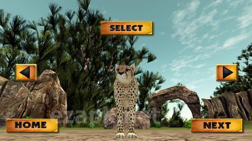 African cheetah: Survival sim