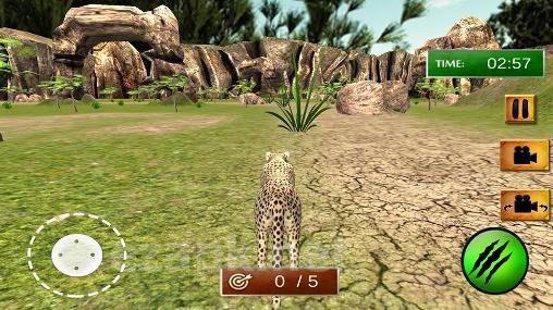 African cheetah: Survival sim