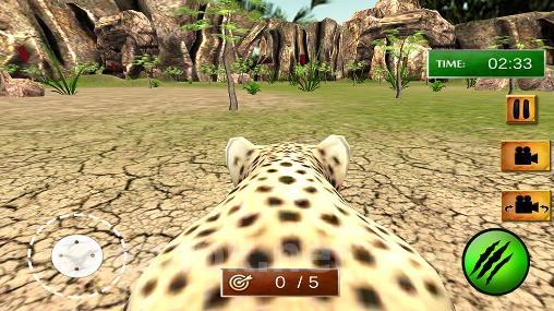 African cheetah: Survival sim