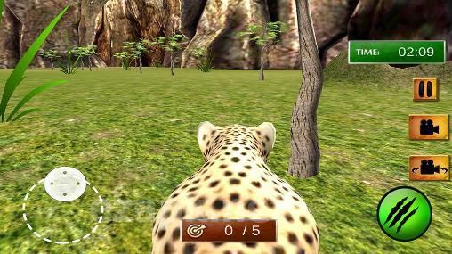 African cheetah: Survival sim