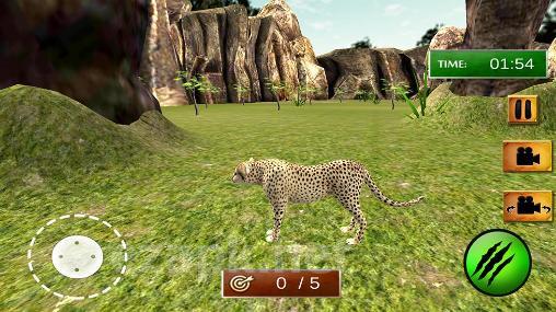African cheetah: Survival sim