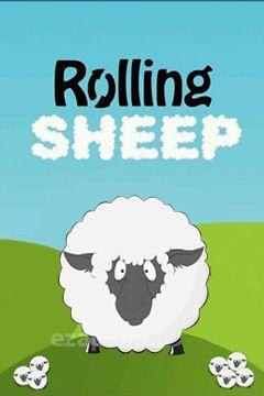 Rolling sheep