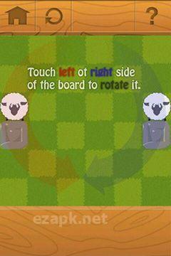 Rolling sheep