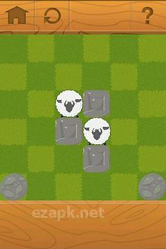 Rolling sheep