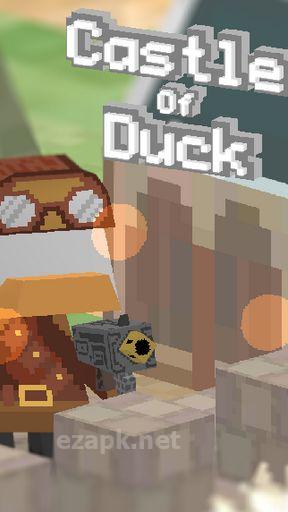 Castle of duck