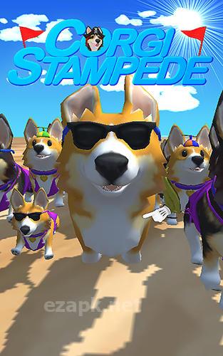 Corgi stampede