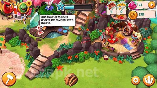 Angry birds holiday